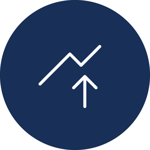 Performance Metrics Icon