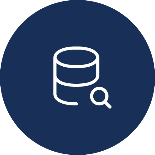 Visual Insights Icon