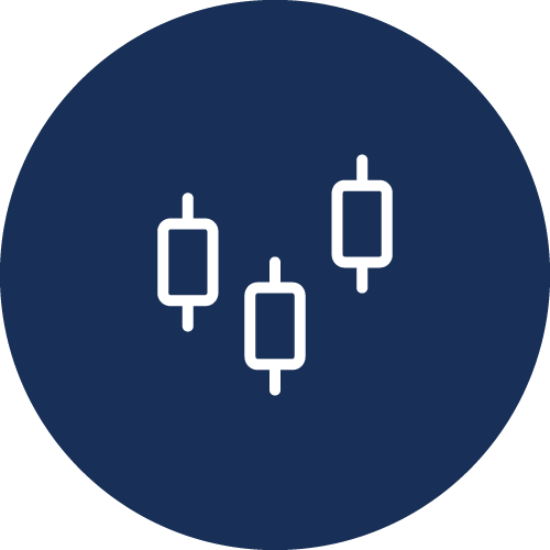 Performance Metrics Icon